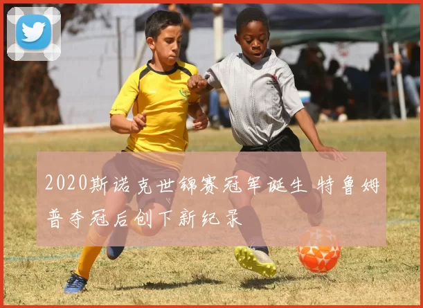 2020斯诺克世锦赛冠军诞生 特鲁姆普夺冠后创下新纪录