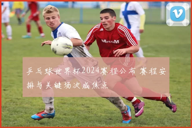 乒乓球世界杯2024赛程公布 赛程安排与关键场次成焦点