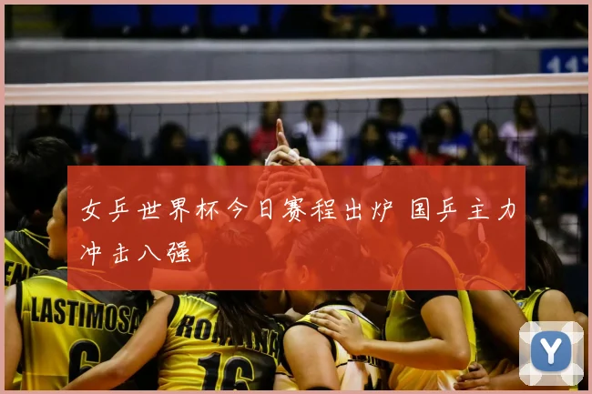 女乒世界杯今日赛程出炉 国乒主力冲击八强