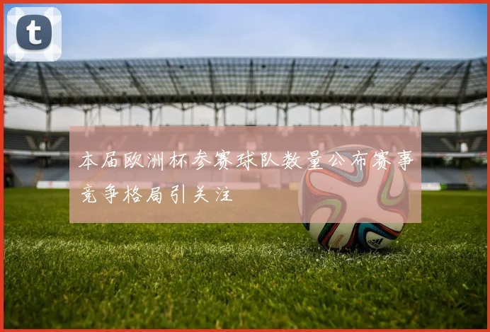 本届欧洲杯参赛球队数量公布赛事竞争格局引关注