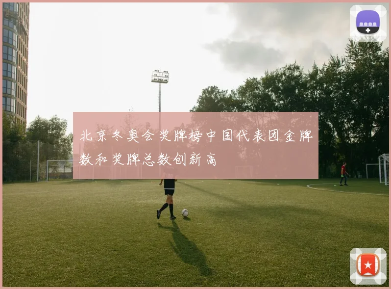北京冬奥会奖牌榜中国代表团金牌数和奖牌总数创新高